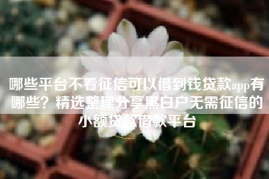 哪些平台不看征信可以借到钱贷款app有哪些？精选整理分享黑白户无需征信的小额贷款借款平台