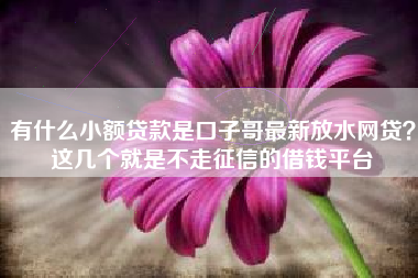 有什么小额贷款是口子哥最新放水网贷？这几个就是不走征信的借钱平台