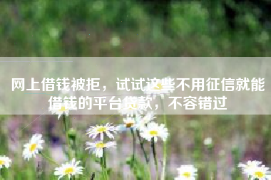 网上借钱被拒，试试这些不用征信就能借钱的平台贷款，不容错过
