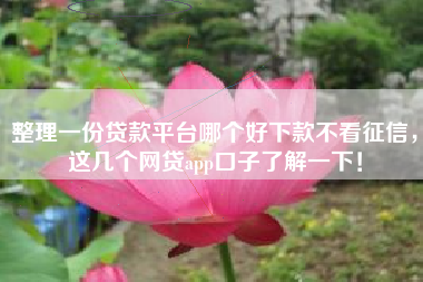 整理一份贷款平台哪个好下款不看征信，这几个网贷app口子了解一下！