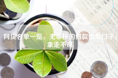 网贷名单一览，无审核的借款借款口子，拿走不谢