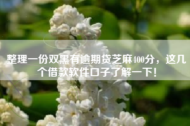 整理一份双黑有逾期贷芝麻400分，这几个借款软件口子了解一下！