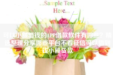 可以小额借钱的APP借款软件有哪些？精选整理分享哪些平台不看征信可以借到钱小额贷款
