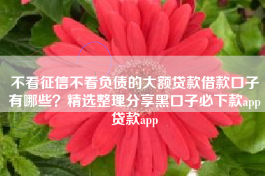 不看征信不看负债的大额贷款借款口子有哪些？精选整理分享黑口子必下款app贷款app