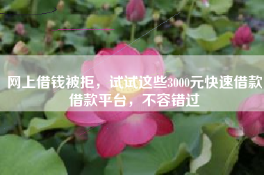 网上借钱被拒，试试这些3000元快速借款借款平台，不容错过