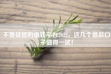 不查征信的借钱平台2022，这几个借款口子值得一试！