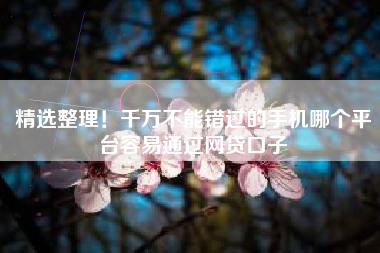 精选整理！千万不能错过的手机哪个平台容易通过网贷口子