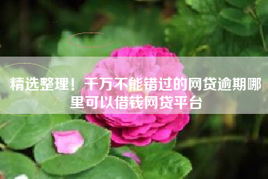 精选整理！千万不能错过的网贷逾期哪里可以借钱网贷平台