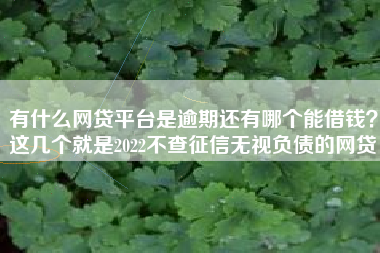 有什么网贷平台是逾期还有哪个能借钱？这几个就是2022不查征信无视负债的网贷