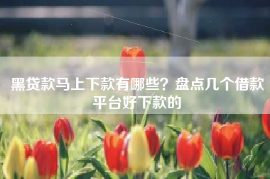 黑贷款马上下款有哪些？盘点几个借款平台好下款的
