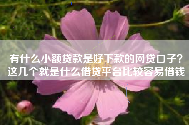 有什么小额贷款是好下款的网贷口子？这几个就是什么借贷平台比较容易借钱