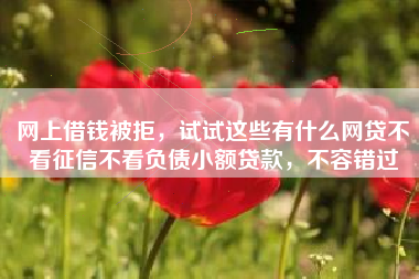 网上借钱被拒，试试这些有什么网贷不看征信不看负债小额贷款，不容错过