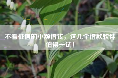 不看征信的小额借钱，这几个借款软件值得一试！