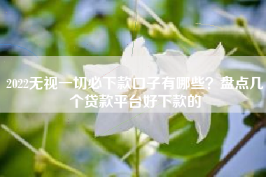 2022无视一切必下款口子有哪些？盘点几个贷款平台好下款的