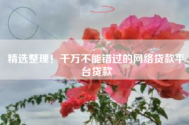精选整理！千万不能错过的网络贷款平台贷款
