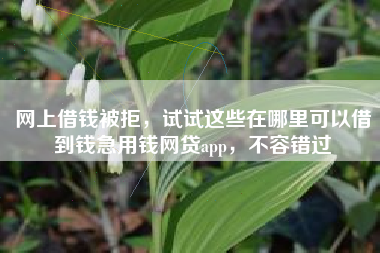 网上借钱被拒，试试这些在哪里可以借到钱急用钱网贷app，不容错过