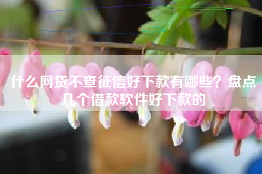 什么网贷不查征信好下款有哪些？盘点几个借款软件好下款的