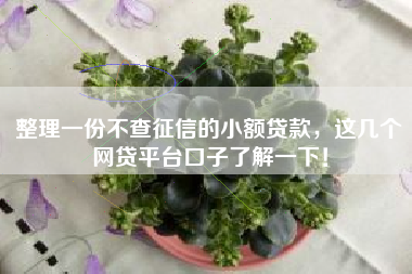 整理一份不查征信的小额贷款，这几个网贷平台口子了解一下！