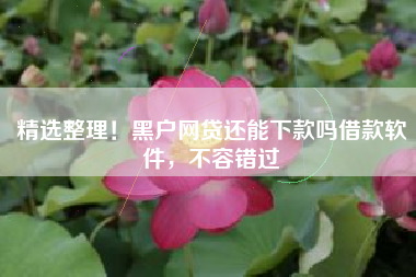 精选整理！黑户网贷还能下款吗借款软件，不容错过