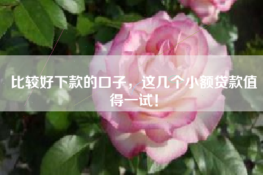 比较好下款的口子，这几个小额贷款值得一试！