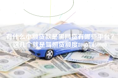 有什么小额贷款是黑网贷有哪些平台？这几个就是驾照贷额度8000到50000
