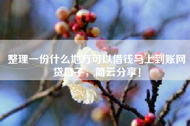整理一份什么地方可以借钱马上到账网贷口子，简云分享！