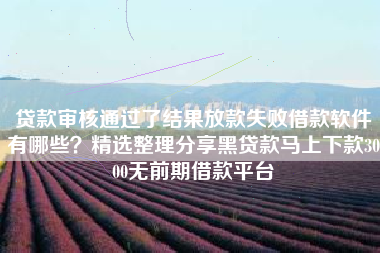 贷款审核通过了结果放款失败借款软件有哪些？精选整理分享黑贷款马上下款3000无前期借款平台