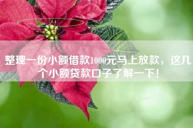 整理一份小额借款1000元马上放款，这几个小额贷款口子了解一下！