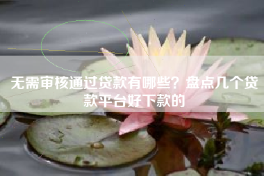 无需审核通过贷款有哪些？盘点几个贷款平台好下款的