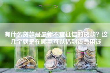 有什么贷款是最新不查征信的贷款？这几个就是在哪里可以借到钱急用钱