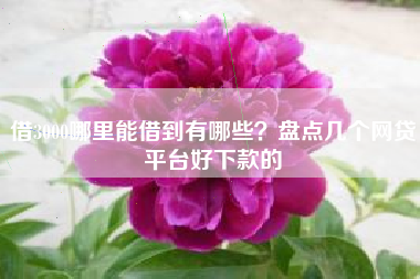 借3000哪里能借到有哪些？盘点几个网贷平台好下款的