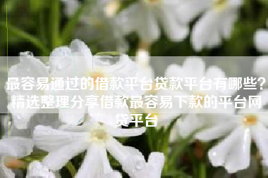 最容易通过的借款平台贷款平台有哪些？精选整理分享借款最容易下款的平台网贷平台