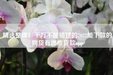 精选整理！千万不能错过的2022能下款的网贷有哪些贷款app