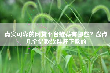 真实可靠的网贷平台推荐有哪些？盘点几个借款软件好下款的