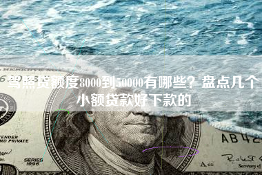 驾照贷额度8000到50000有哪些？盘点几个小额贷款好下款的