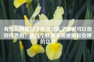 有什么网贷口子是征信乱了哪里可以借到钱急用？这几个就是无视逾期和负债的贷款