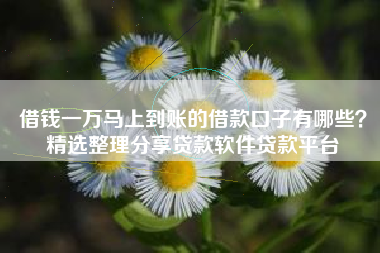 借钱一万马上到账的借款口子有哪些？精选整理分享贷款软件贷款平台