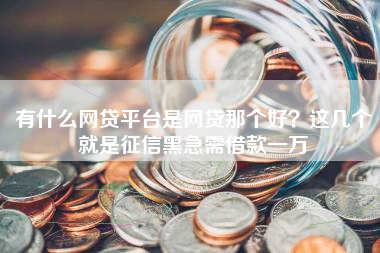 有什么网贷平台是网贷那个好？这几个就是征信黑急需借款一万