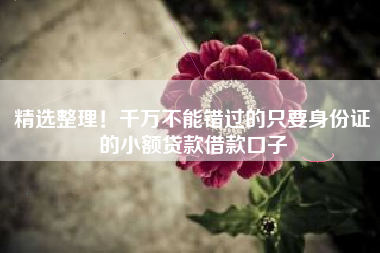 精选整理！千万不能错过的只要身份证的小额贷款借款口子