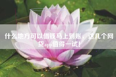 什么地方可以借钱马上到账，这几个网贷app值得一试！