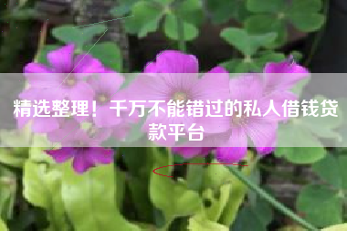 精选整理！千万不能错过的私人借钱贷款平台
