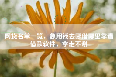 网贷名单一览，急用钱去哪借哪里靠谱借款软件，拿走不谢