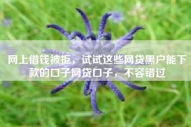 网上借钱被拒，试试这些网贷黑户能下款的口子网贷口子，不容错过