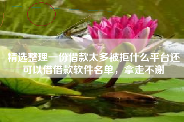精选整理一份借款太多被拒什么平台还可以借借款软件名单，拿走不谢
