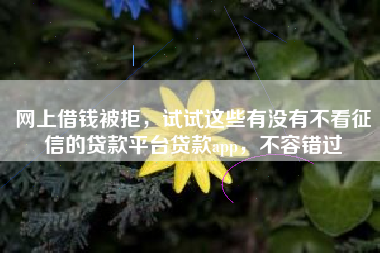 网上借钱被拒，试试这些有没有不看征信的贷款平台贷款app，不容错过