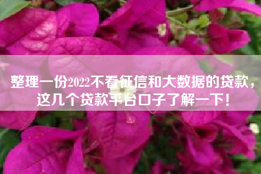 整理一份2022不看征信和大数据的贷款，这几个贷款平台口子了解一下！