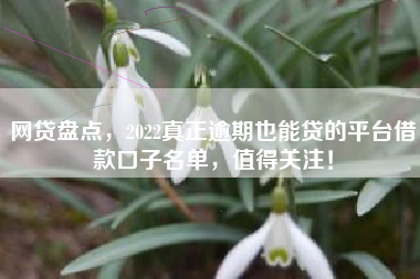 网贷盘点，2022真正逾期也能贷的平台借款口子名单，值得关注！