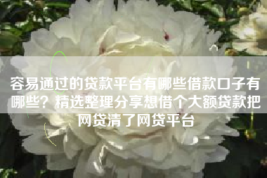 容易通过的贷款平台有哪些借款口子有哪些？精选整理分享想借个大额贷款把网贷清了网贷平台
