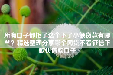 所有口子都拒了这个下了小额贷款有哪些？精选整理分享哪个网贷不看征信下款快借款口子