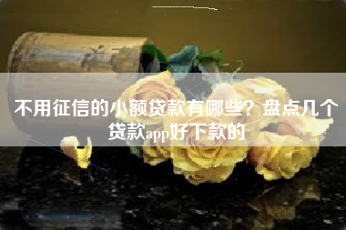 不用征信的小额贷款有哪些？盘点几个贷款app好下款的